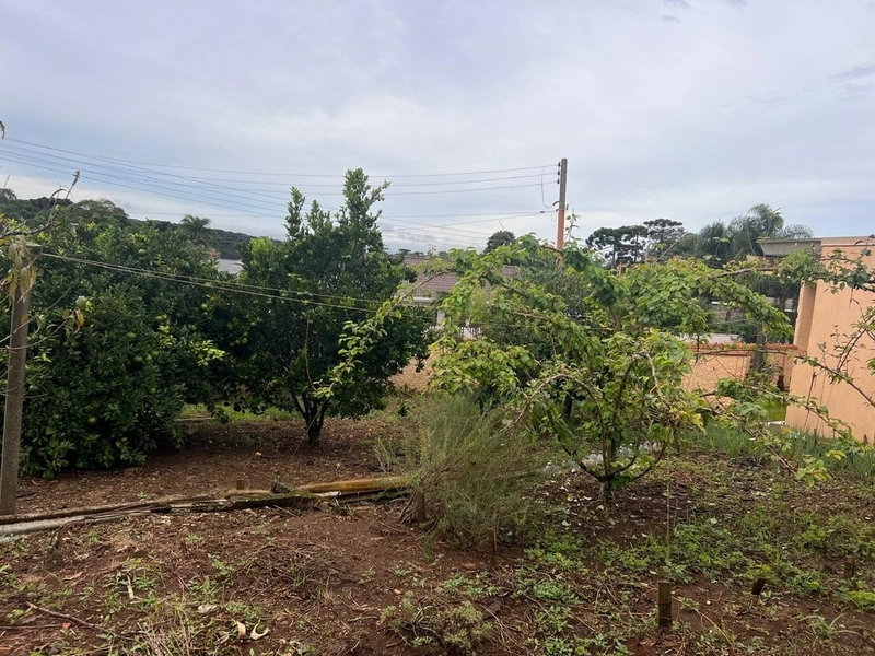 Terreno de Esquina 389m² Próximo ao Parque – Vista Deslumbrante!: 5ª foto da galeria de imagens do imóvel