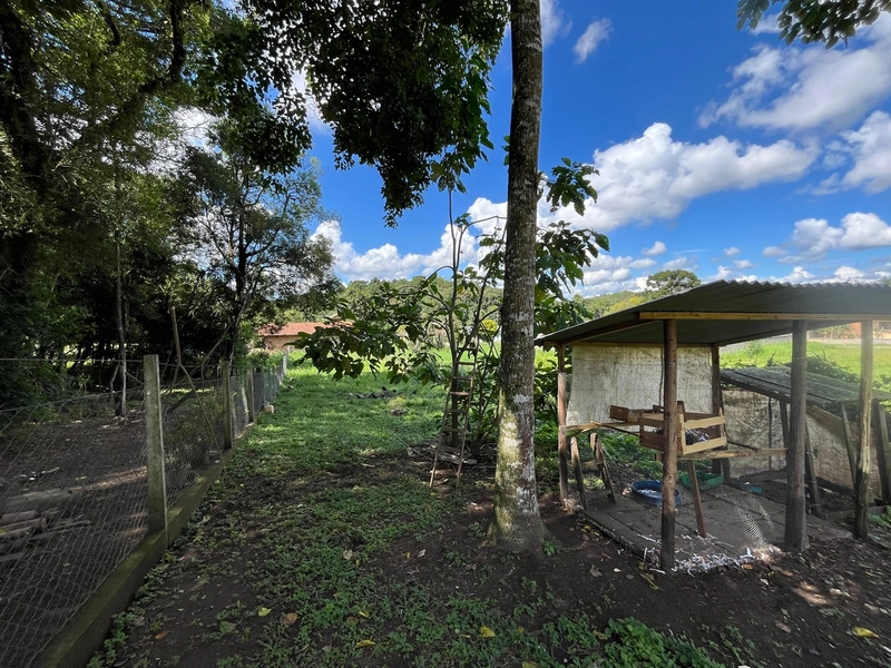 CASA COM TERRENO ESPAÇOSO NOS PESSEGUEIROS/BUGRE: 7ª foto da galeria de imagens do imóvel