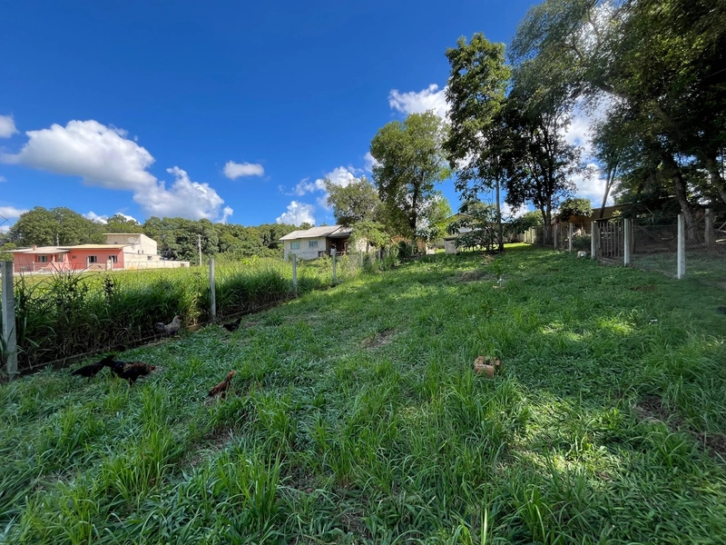 CASA COM TERRENO ESPAÇOSO NOS PESSEGUEIROS/BUGRE: 9ª foto da galeria de imagens do imóvel