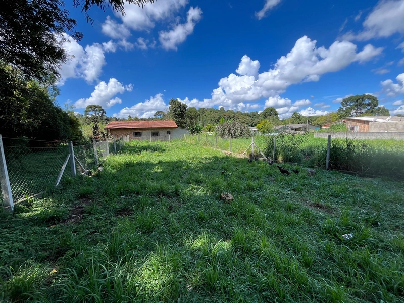 CASA COM TERRENO ESPAÇOSO NOS PESSEGUEIROS/BUGRE: 15ª foto da galeria de imagens do imóvel
