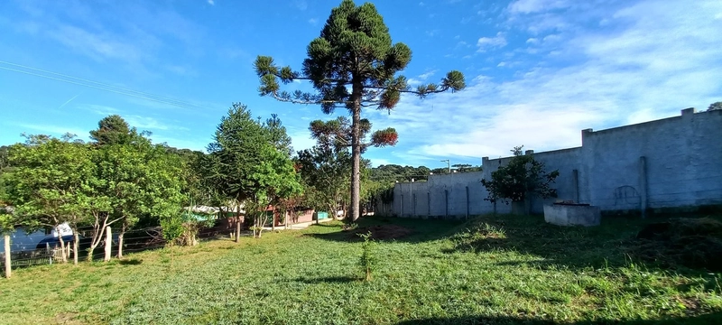 Refúgio dos sonhos no campo: um pedaço de paraíso urbano à sua espera!: 15ª foto da galeria de imagens do imóvel