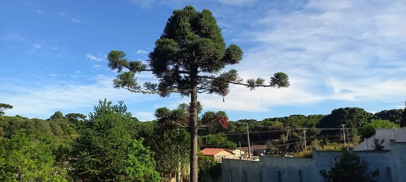 Refúgio dos sonhos no campo: um pedaço de paraíso urbano à sua espera!: 20ª foto da galeria de imagens do imóvel