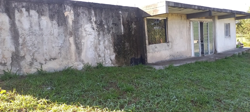 Refúgio dos sonhos no campo: um pedaço de paraíso urbano à sua espera!: 14ª foto da galeria de imagens do imóvel