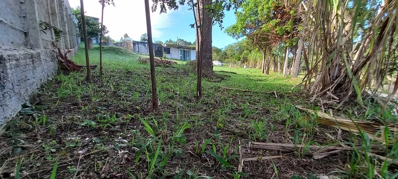 Refúgio dos sonhos no campo: um pedaço de paraíso urbano à sua espera!: 27ª foto da galeria de imagens do imóvel