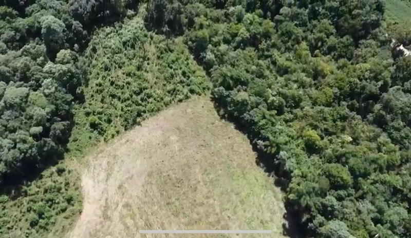 Imperdível! Terreno Industrial à Venda em Campo Largo - 130.000m²: 14ª foto da galeria de imagens do imóvel