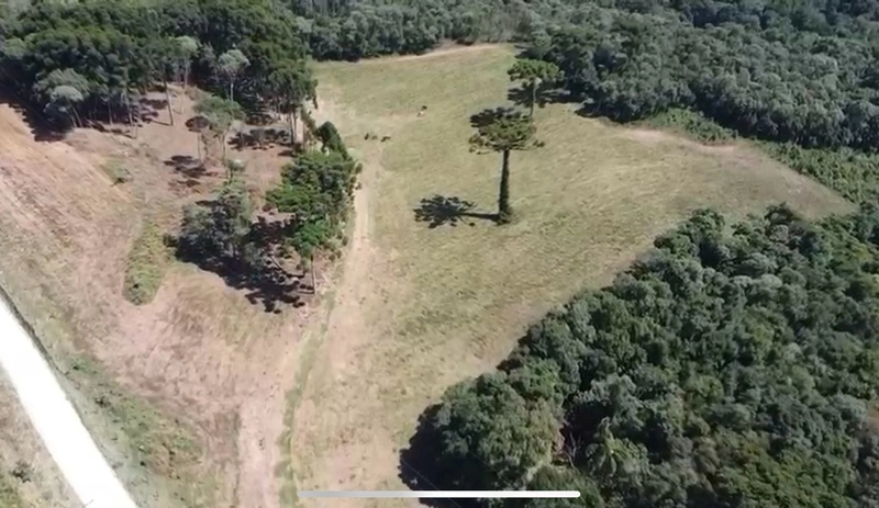 Imperdível! Terreno Industrial à Venda em Campo Largo - 130.000m²: 3ª foto da galeria de imagens do imóvel