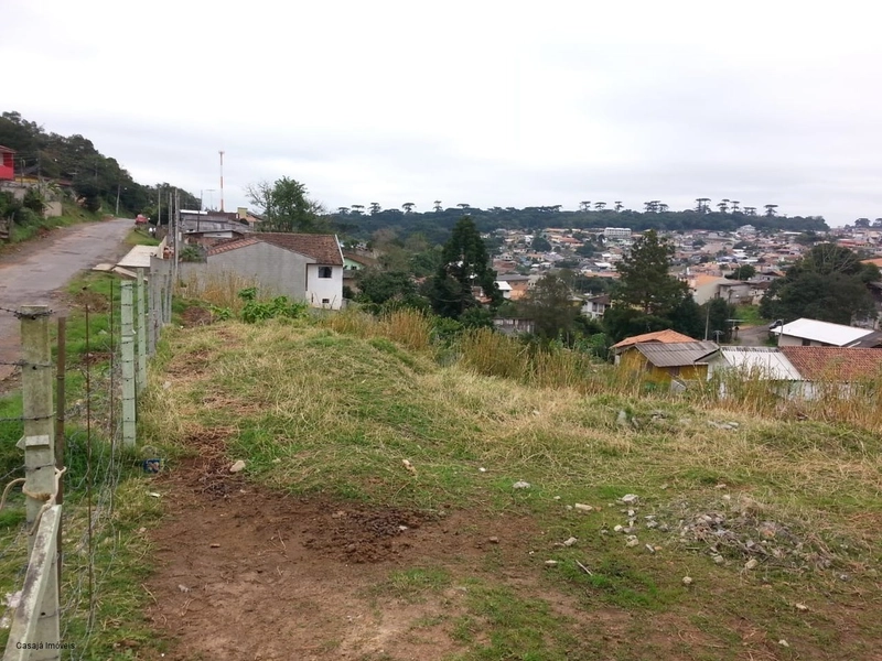 Terreno de 1.290m² em Campo Largo – Ideal para Construção Residencial!: 2ª foto da galeria de imagens do imóvel