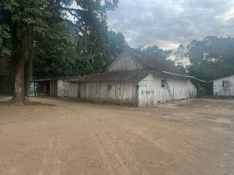 Chácara com 129.000m², água mineral e natureza em Bateias!: 12ª foto da galeria de imagens do imóvel