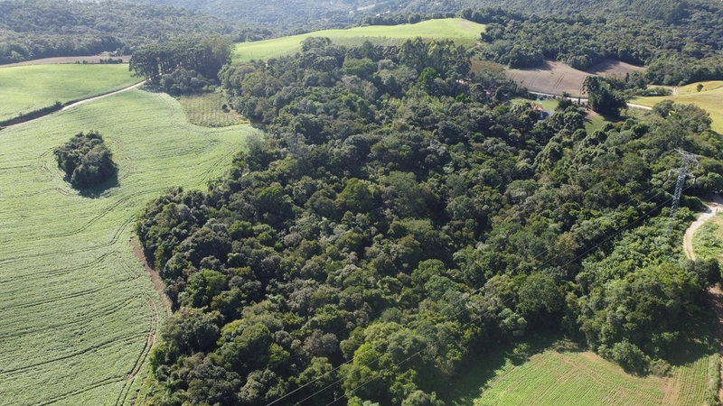 Chácara com 129.000m², água mineral e natureza em Bateias!: 28ª foto da galeria de imagens do imóvel