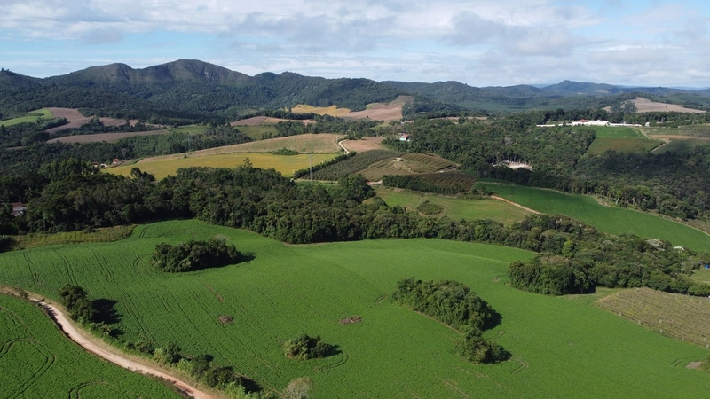Chácara com 129.000m², água mineral e natureza em Bateias!: 24ª foto da galeria de imagens do imóvel