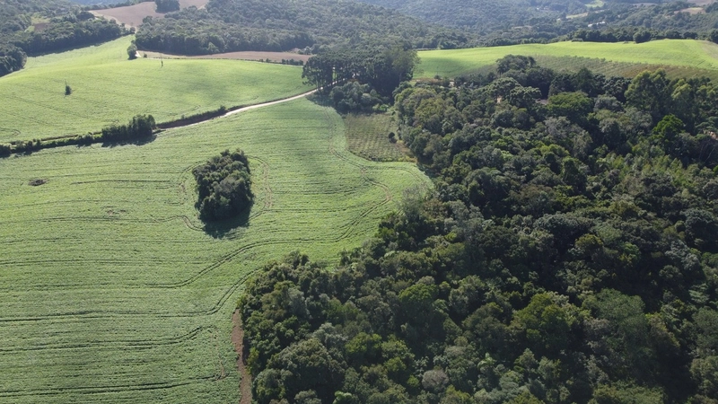 Chácara com 129.000m², água mineral e natureza em Bateias!: 29ª foto da galeria de imagens do imóvel