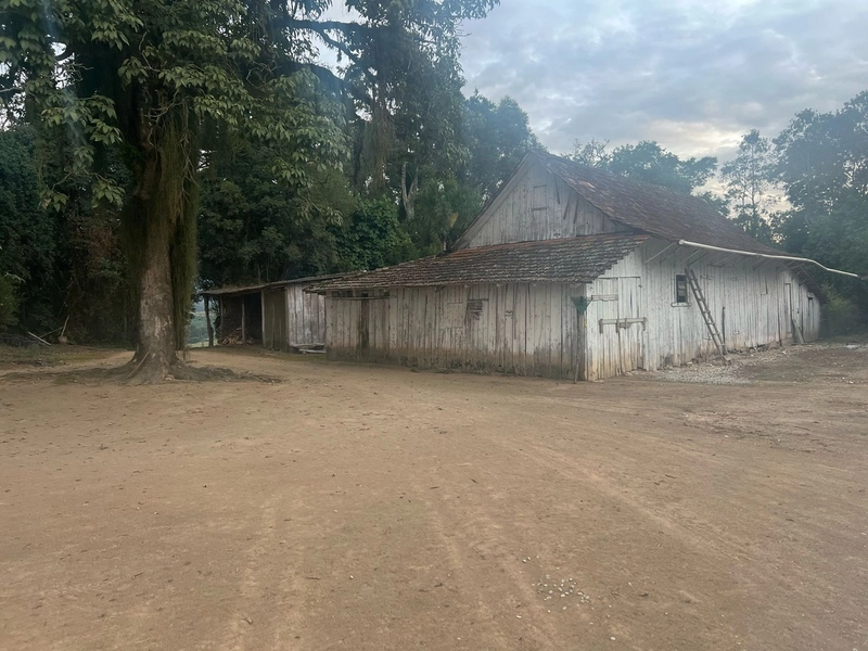Chácara com 129.000m², água mineral e natureza em Bateias!: 16ª foto da galeria de imagens do imóvel