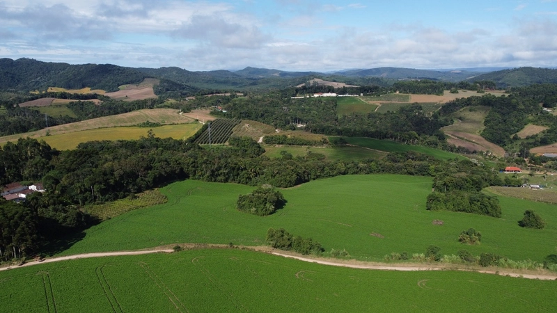 Chácara com 129.000m², água mineral e natureza em Bateias!: 23ª foto da galeria de imagens do imóvel