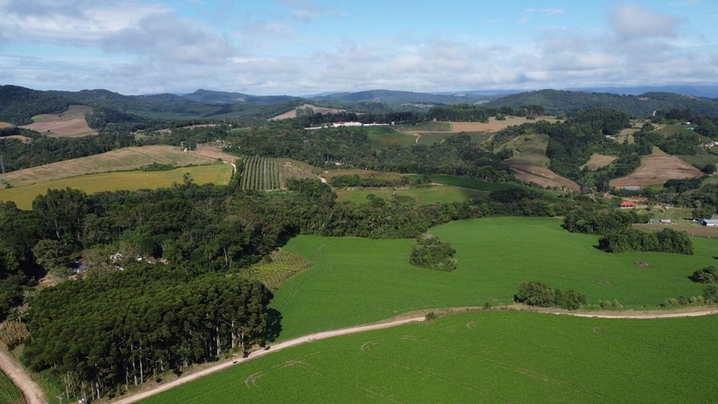 Chácara com 129.000m², água mineral e natureza em Bateias!: 22ª foto da galeria de imagens do imóvel
