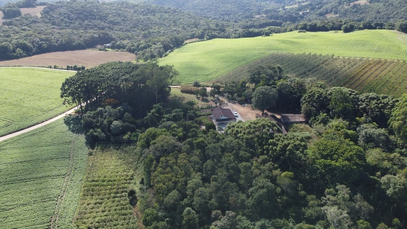 Chácara com 129.000m², água mineral e natureza em Bateias!: 30ª foto da galeria de imagens do imóvel
