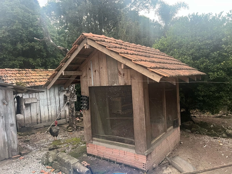 Chácara com 129.000m², água mineral e natureza em Bateias!: 7ª foto da galeria de imagens do imóvel