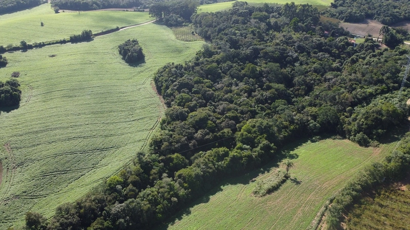 Chácara com 129.000m², água mineral e natureza em Bateias!: 27ª foto da galeria de imagens do imóvel