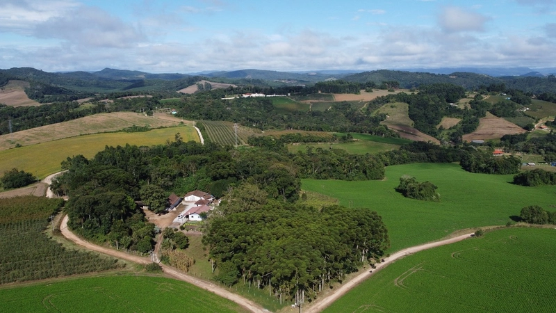 Chácara com 129.000m², água mineral e natureza em Bateias!: 21ª foto da galeria de imagens do imóvel