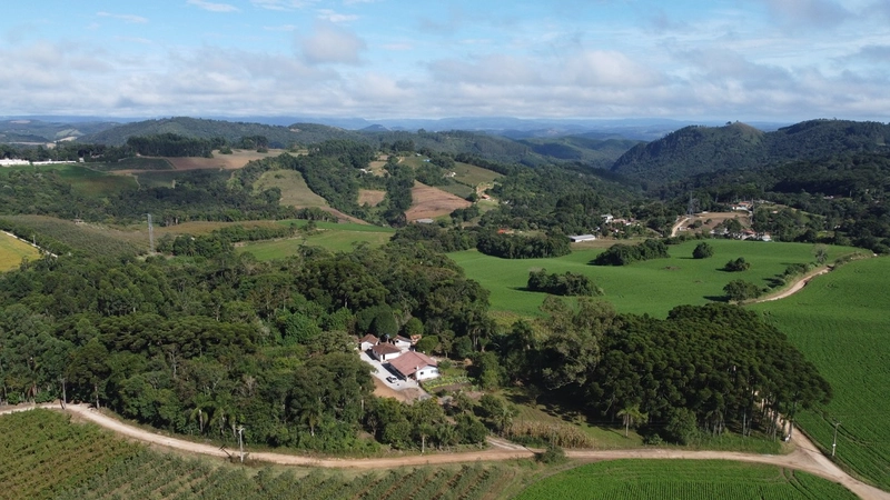 Chácara com 129.000m², água mineral e natureza em Bateias!: 19ª foto da galeria de imagens do imóvel