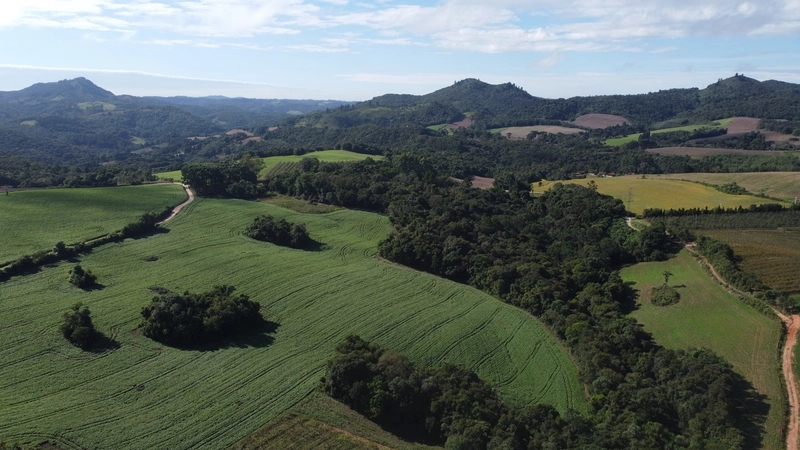 Chácara com 129.000m², água mineral e natureza em Bateias!: 26ª foto da galeria de imagens do imóvel