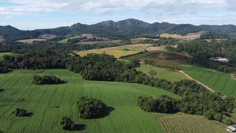 Chácara com 129.000m², água mineral e natureza em Bateias!: 25ª foto da galeria de imagens do imóvel