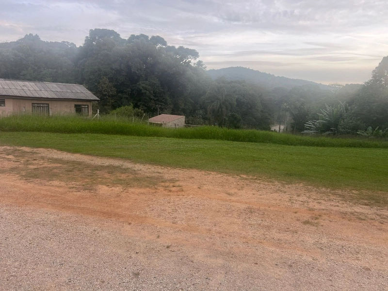 Chácara com 129.000m², água mineral e natureza em Bateias!: 14ª foto da galeria de imagens do imóvel