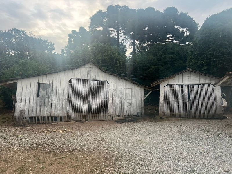 Chácara com 129.000m², água mineral e natureza em Bateias!: 8ª foto da galeria de imagens do imóvel