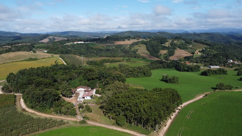 Chácara com 129.000m², água mineral e natureza em Bateias!: 20ª foto da galeria de imagens do imóvel