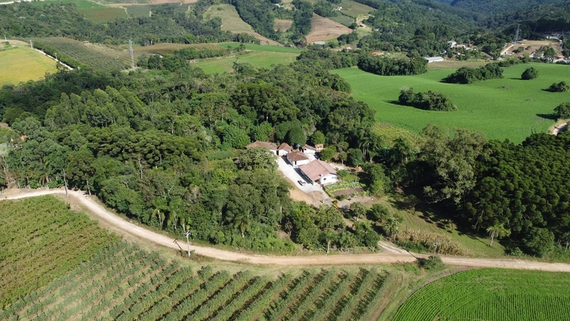 Chácara com 129.000m², água mineral e natureza em Bateias!: 34ª foto da galeria de imagens do imóvel