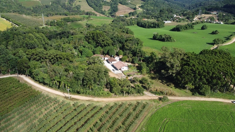 Chácara com 129.000m², água mineral e natureza em Bateias!: 33ª foto da galeria de imagens do imóvel