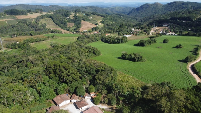Chácara com 129.000m², água mineral e natureza em Bateias!: 35ª foto da galeria de imagens do imóvel