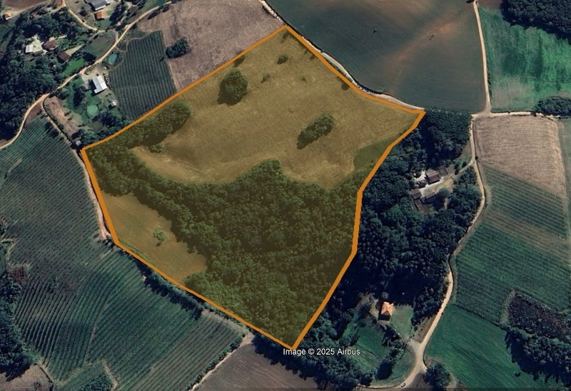 Terreno Rural com 104.000m², água mineral e natureza em Bateias!: 2ª foto da galeria de imagens do imóvel