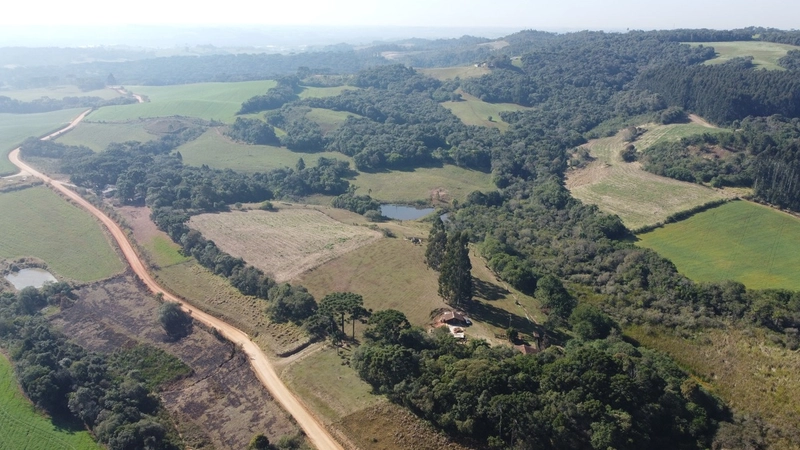 Terreno á venda! Chácara completa com tanques, casa e fácil acesso.: 36ª foto da galeria de imagens do imóvel