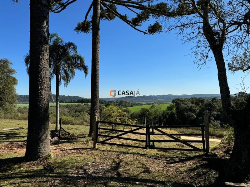 Chácara á venda! Chácara completa com tanques, casa e fácil acesso.: 11ª foto da galeria de imagens do imóvel