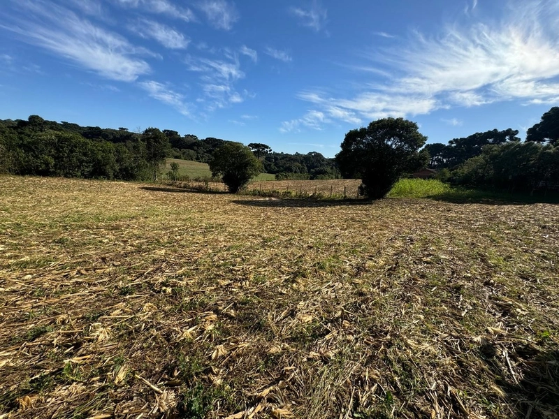 TERRENO DOS SEUS SONHOS EM LOCALIZAÇÃO PRIVELIGIADA: 6ª foto da galeria de imagens do imóvel
