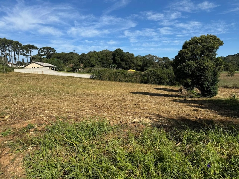 TERRENO DOS SEUS SONHOS EM LOCALIZAÇÃO PRIVELIGIADA: 13ª foto da galeria de imagens do imóvel