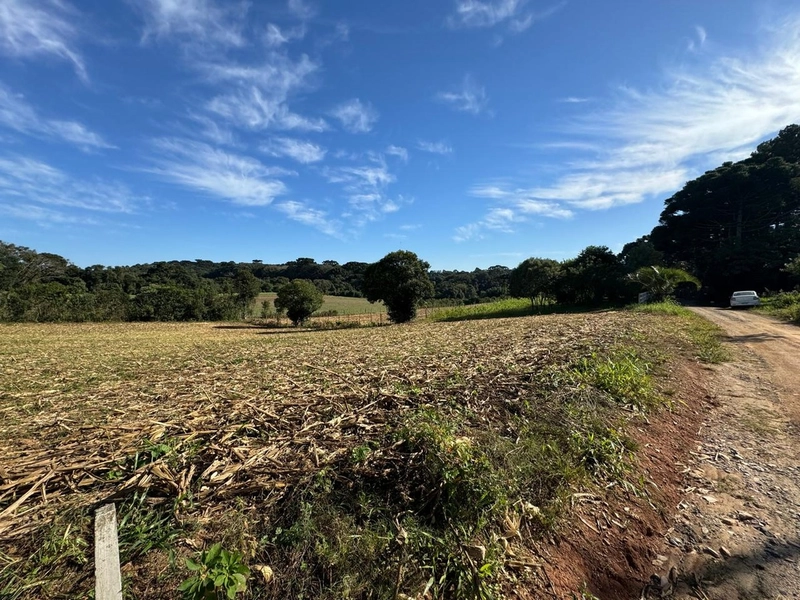 TERRENO DOS SEUS SONHOS EM LOCALIZAÇÃO PRIVELIGIADA: 9ª foto da galeria de imagens do imóvel