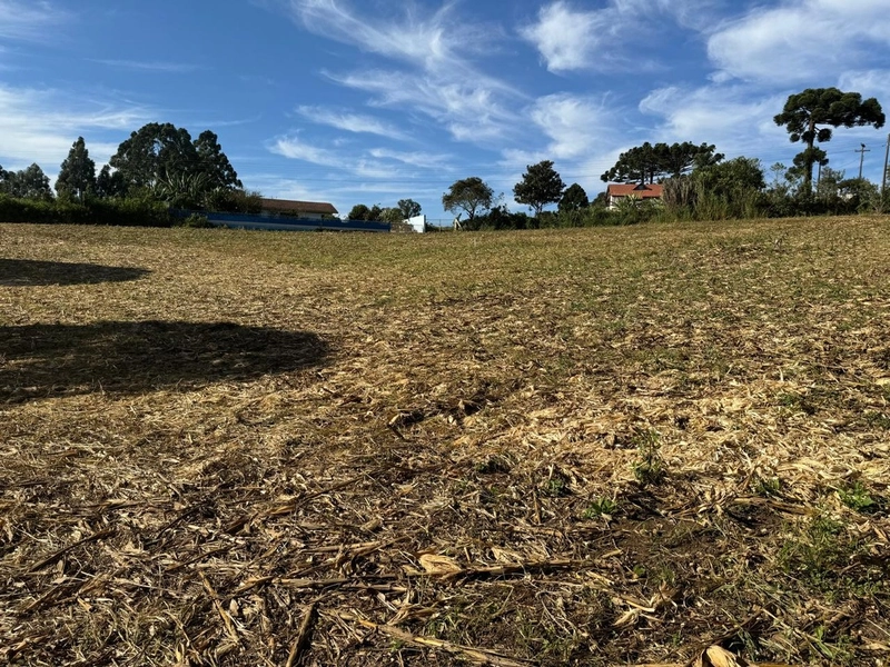 TERRENO DOS SEUS SONHOS EM LOCALIZAÇÃO PRIVELIGIADA: 1ª foto da galeria de imagens do imóvel