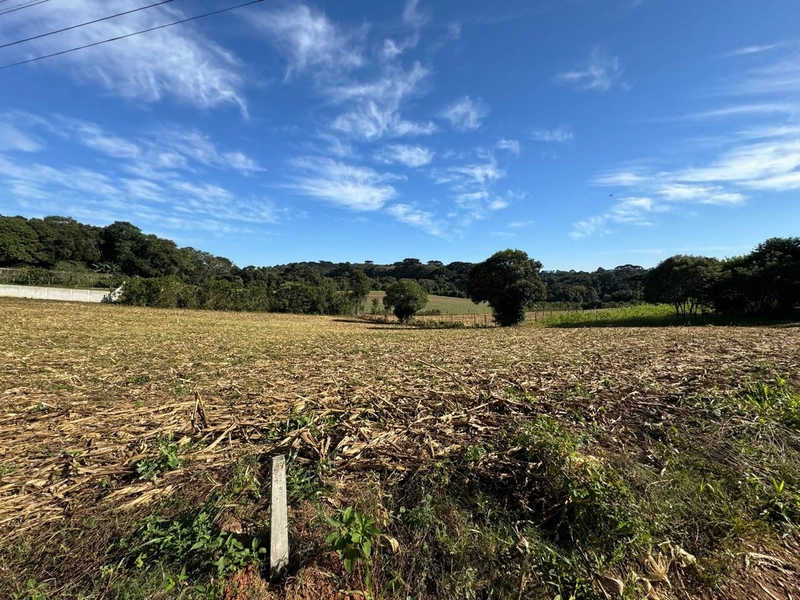 TERRENO DOS SEUS SONHOS EM LOCALIZAÇÃO PRIVELIGIADA: 8ª foto da galeria de imagens do imóvel