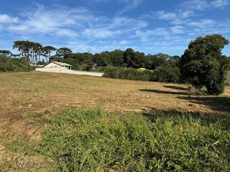 TERRENO DOS SEUS SONHOS EM LOCALIZAÇÃO PRIVELIGIADA: 11ª foto da galeria de imagens do imóvel