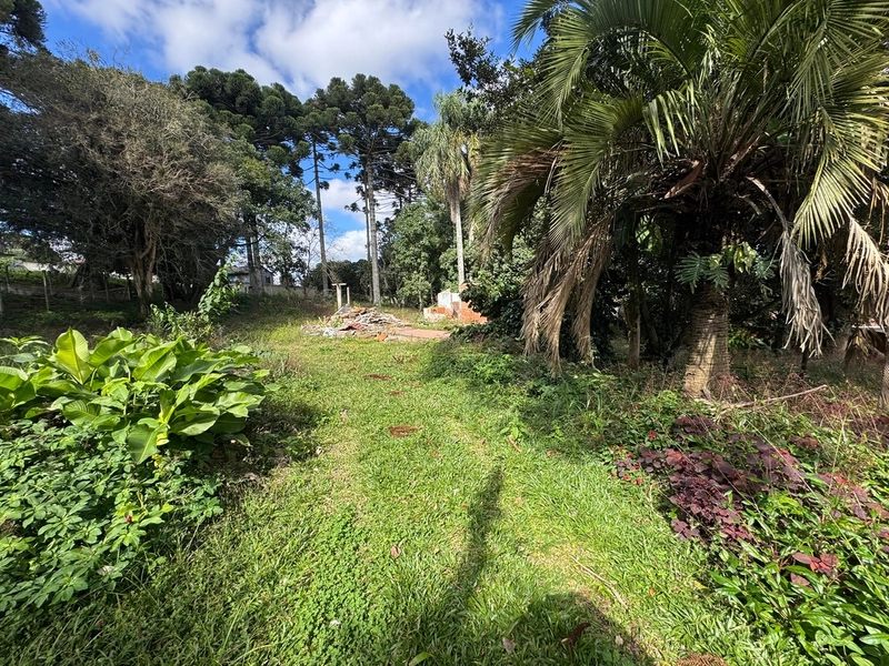 Terreno amplo e plano em excelente localização de Campo Largo!: 5ª foto da galeria de imagens do imóvel