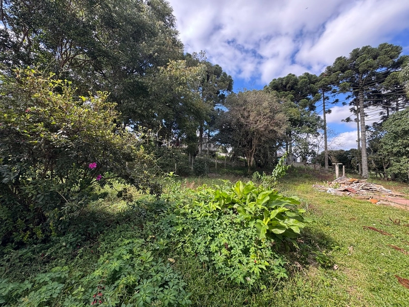 Terreno amplo e plano em excelente localização de Campo Largo!: 1ª foto da galeria de imagens do imóvel