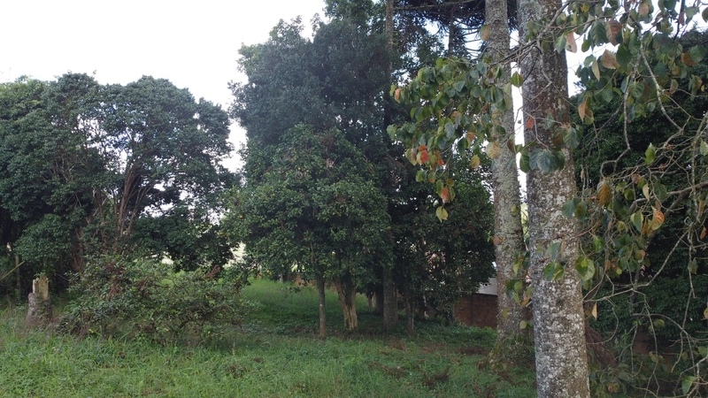 Terreno amplo e plano em excelente localização de Campo Largo!: 9ª foto da galeria de imagens do imóvel