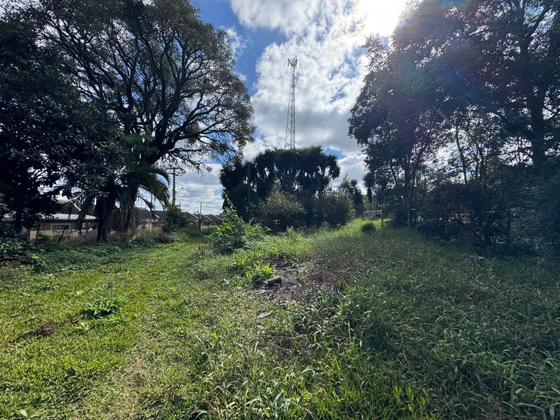 Terreno amplo e plano em excelente localização de Campo Largo!: 8ª foto da galeria de imagens do imóvel