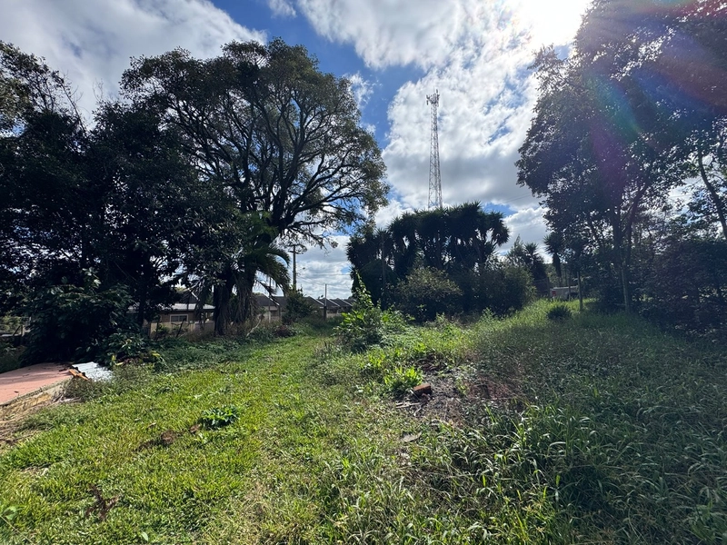 Terreno amplo e plano em excelente localização de Campo Largo!: 7ª foto da galeria de imagens do imóvel