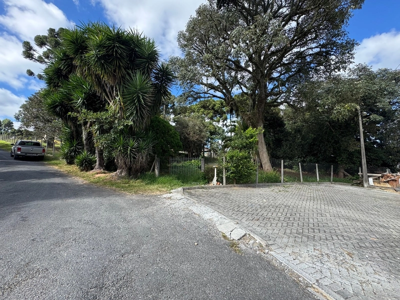 Terreno amplo e plano em excelente localização de Campo Largo!: 10ª foto da galeria de imagens do imóvel