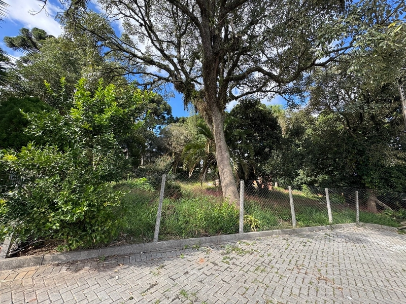 Terreno amplo e plano em excelente localização de Campo Largo!: 4ª foto da galeria de imagens do imóvel