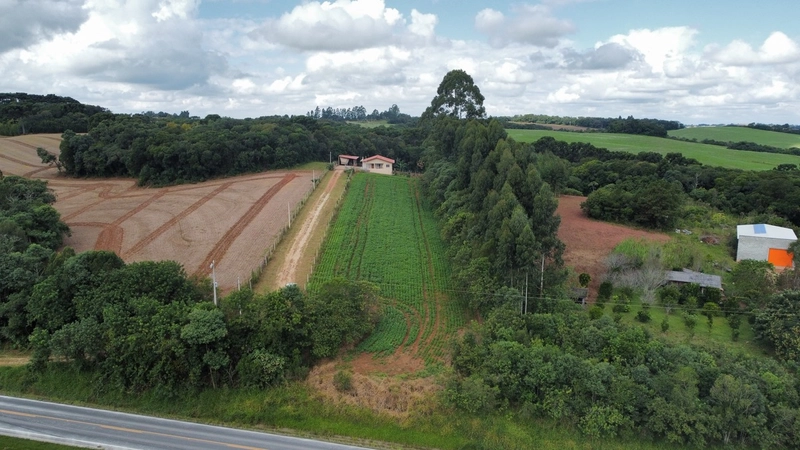 Sua Oportunidade na PR-510: Terreno Rural Estratégico em Balsa Nova!: 2ª foto da galeria de imagens do imóvel