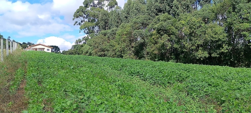 Sua Oportunidade na PR-510: Terreno Rural Estratégico em Balsa Nova!: 8ª foto da galeria de imagens do imóvel