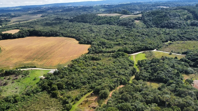 Sua Oportunidade na PR-510: Terreno Rural Estratégico em Balsa Nova!: 14ª foto da galeria de imagens do imóvel